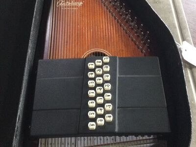Autoharp-E75008749