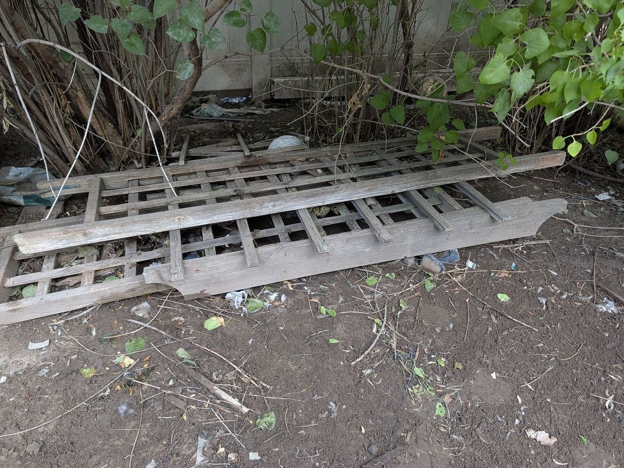 Main image 1