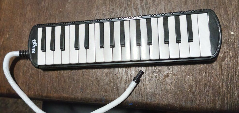 Stagg Melodica with Tube 
