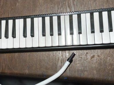 Stagg Melodica with Tube