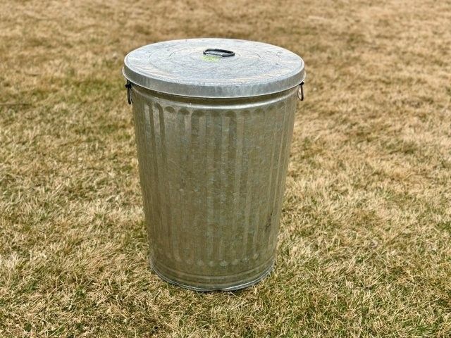 Behrens Model 1130 31-gallon Galvanized Steel Trash Can with Lid