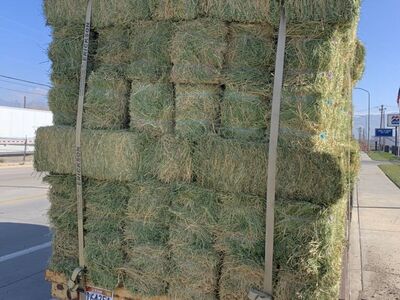 Certified Alfalfa Hay