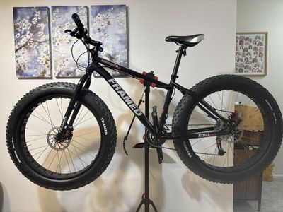 # UNIQUE FRAMED MINNESOTA 2.0 FAT BIKE