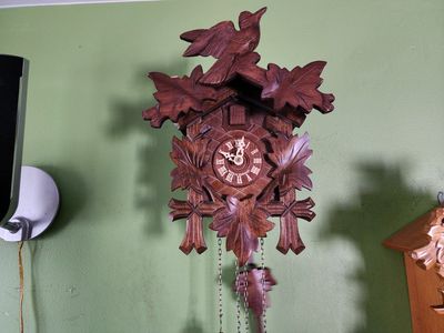 Nice little German Cuckoo