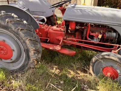 Ferguson Orchard Tractor