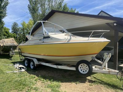 1980 bayliner capricuddy