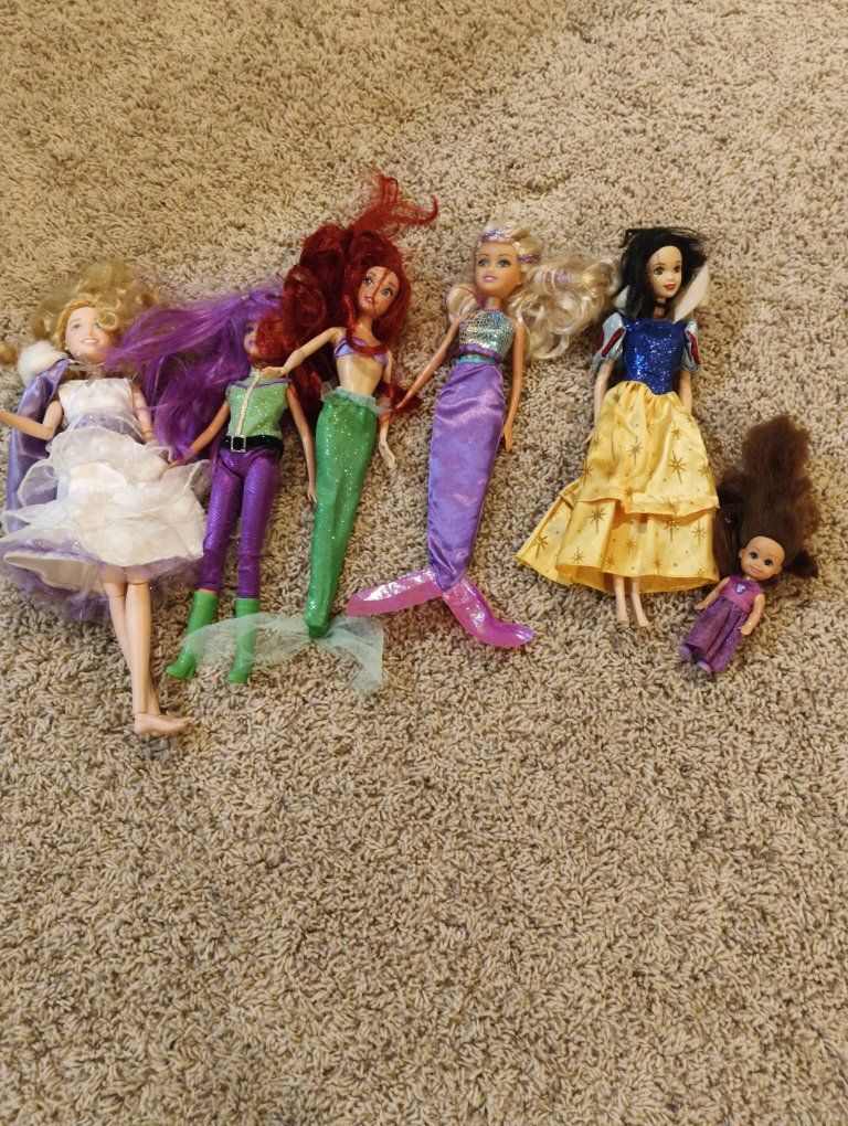 Barbie type dolls 