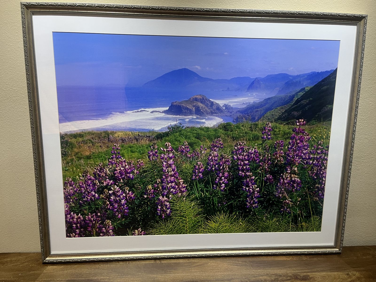 Framed Photographic Print - Flowers along the California coast - 40" x30" - Mint Condition