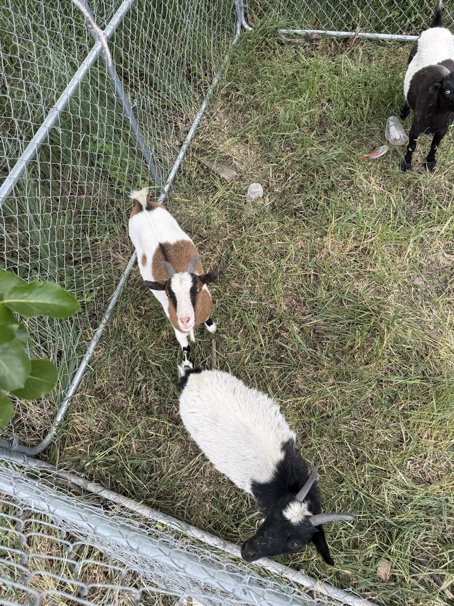 Main image 3