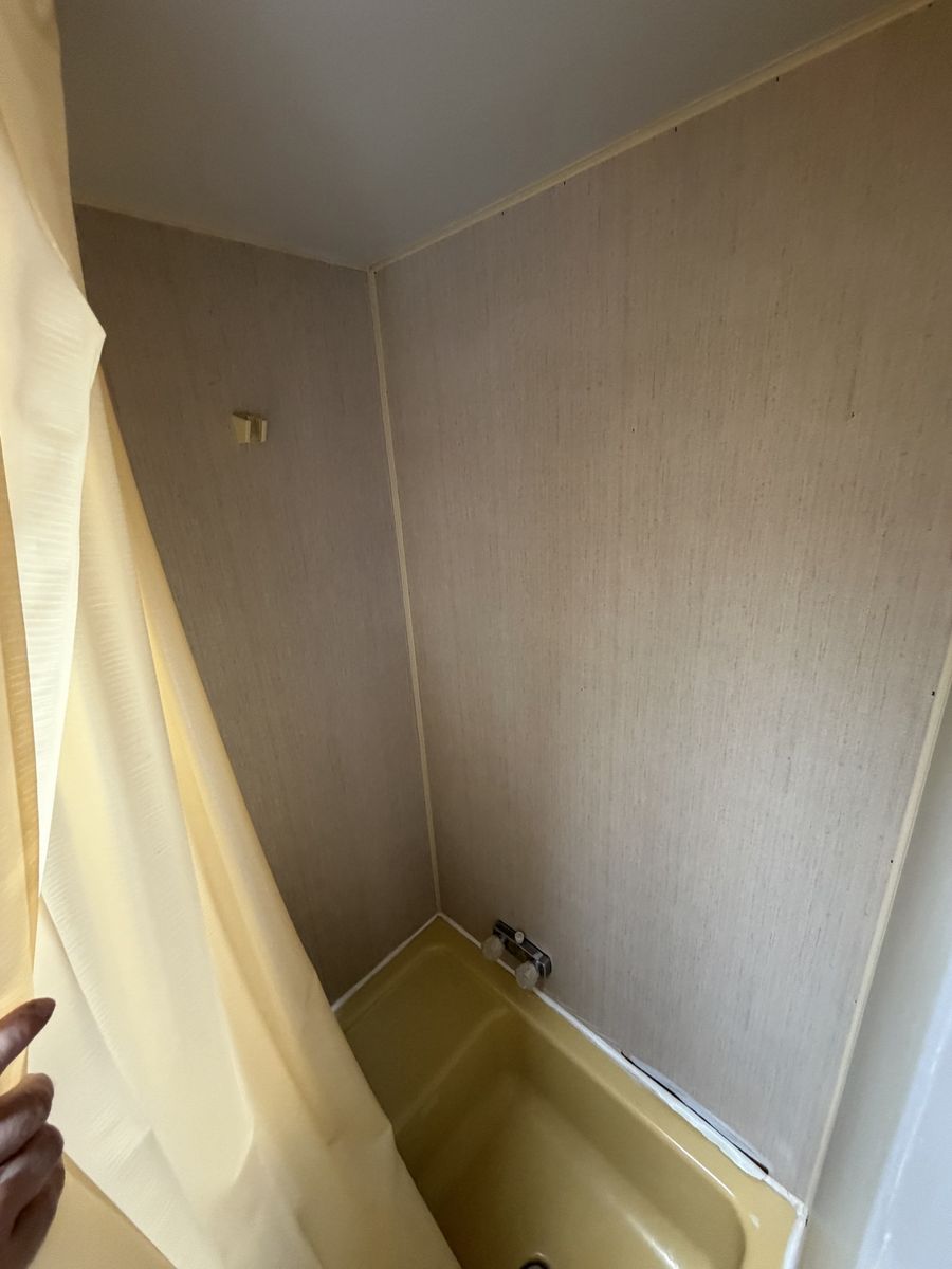 Main image 11