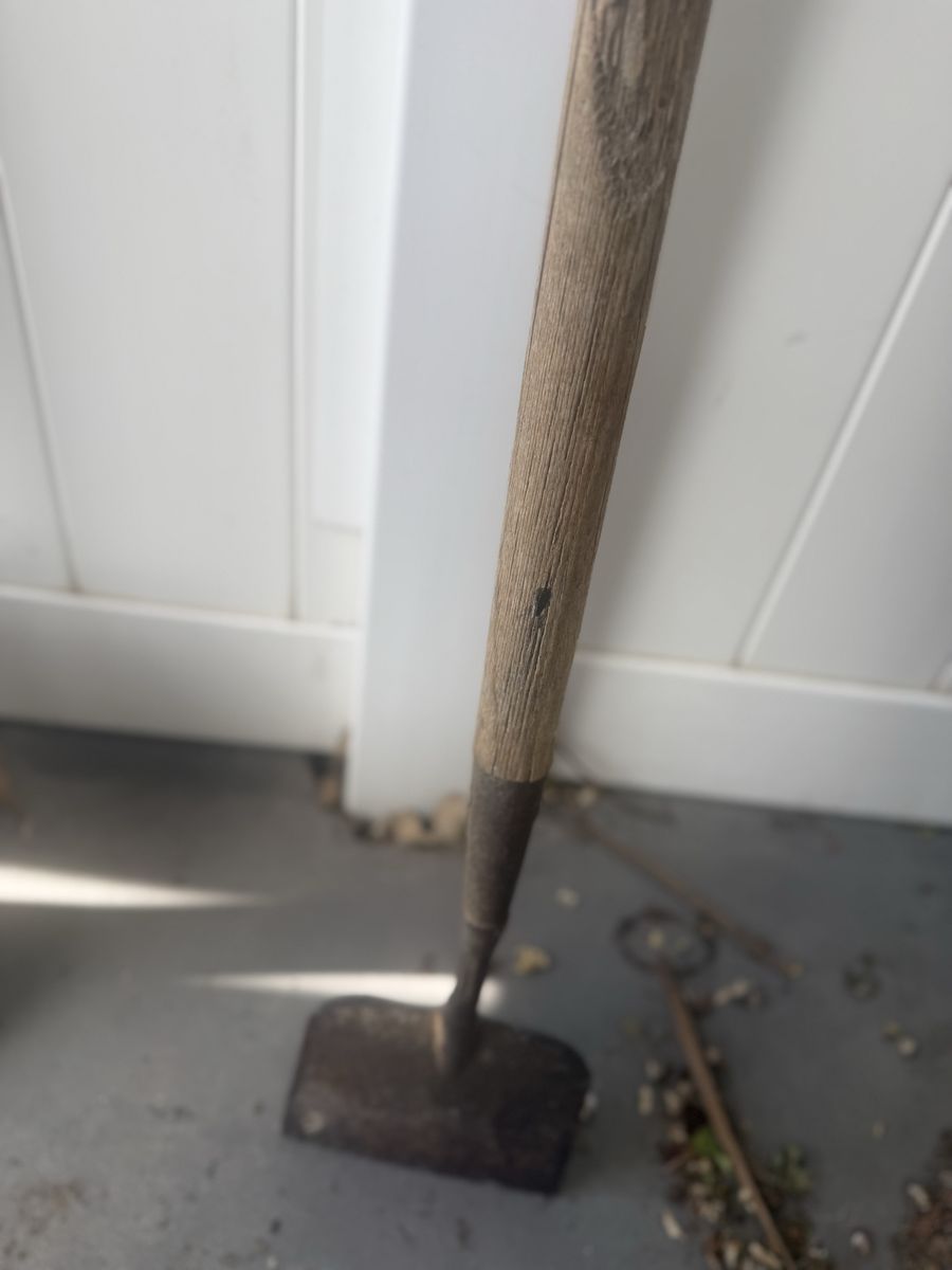 Main image 9