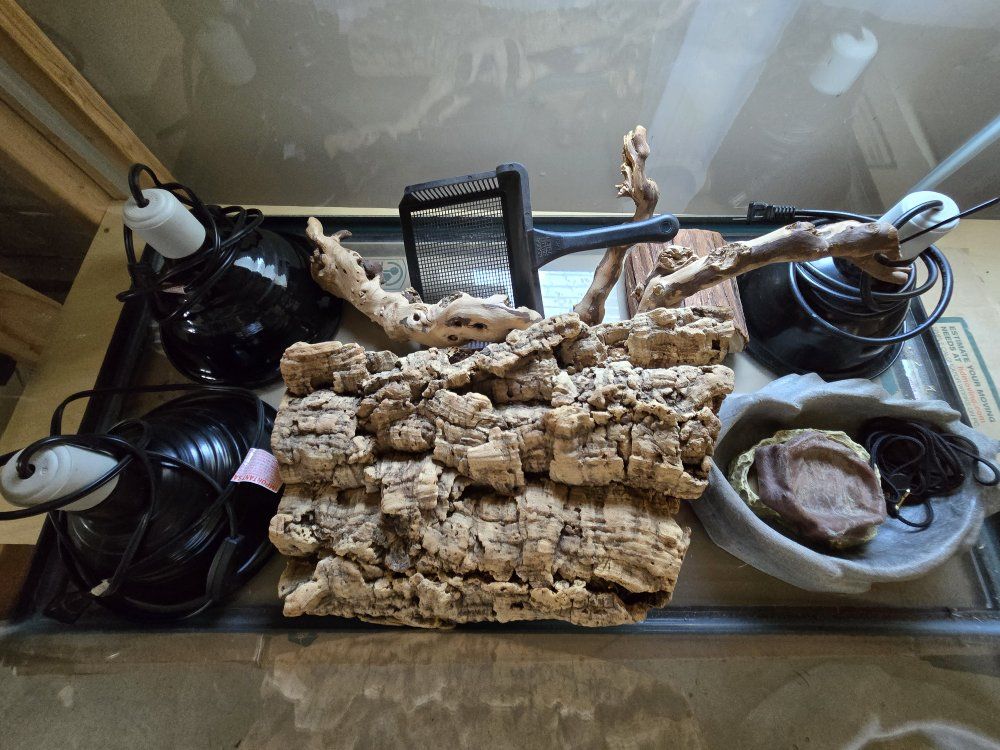Complete Setup! Reptile Terrarium Tank Heat Emitter Bulb & Accessories 36x18x18 (50 Gallon) Used