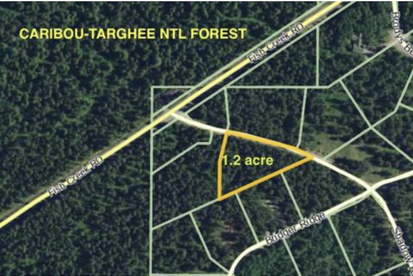 Main image 8