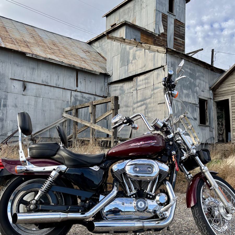 63 Of 200 2005 Harley XL1200C Sportster