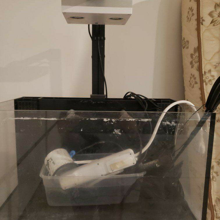 Innovative Marine Nuvo Fusion 20 Gallon Aquarium and Stand
