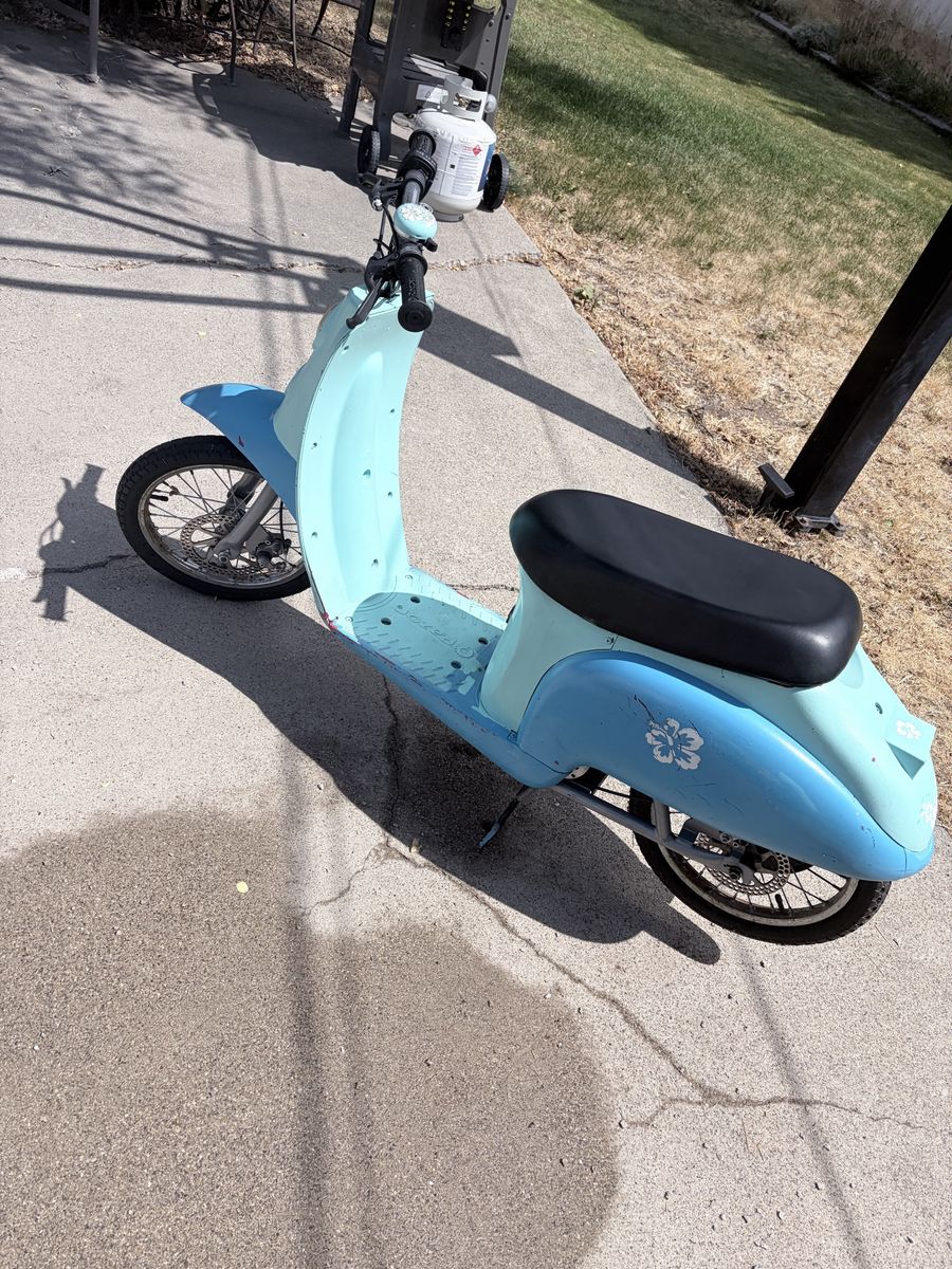 Razor Electric Scooter 36 Amp Battery – Brand New Batteries + Charger – $300 OBO