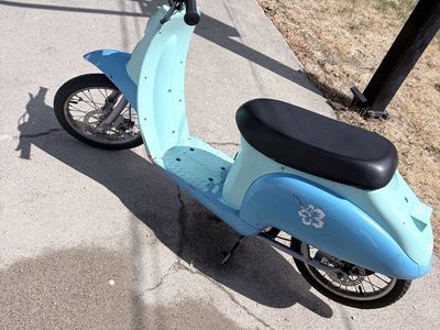 Razor Electric Scooter 36 Amp Battery – Brand New Batteries + Charger – $300 OBO
