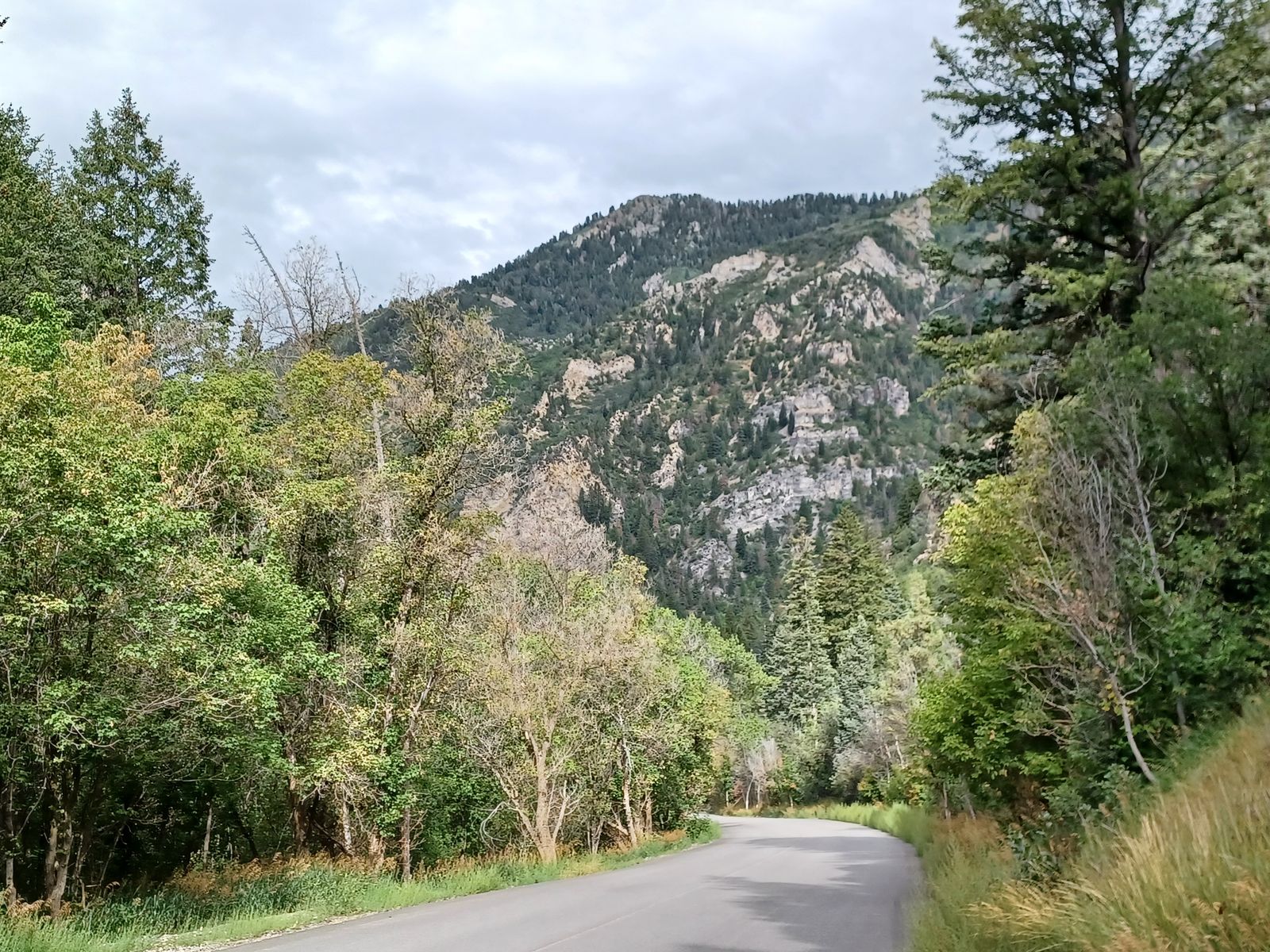 Main image 8