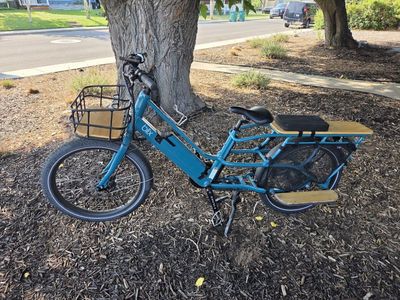 Blix Packa Electric Cargo Bike – Great Condition – Extra Battery Included!