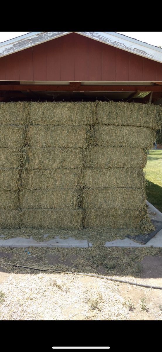 Alfalfa hay for sale