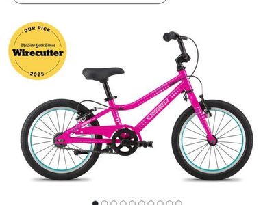 Guardian 16inch Bike