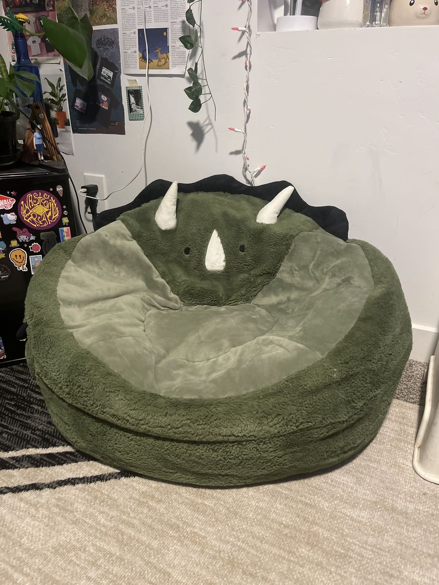 Perfect Condition Dinosaur Beanbag - $45