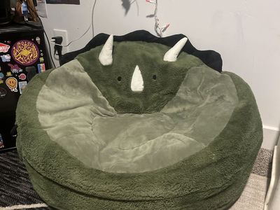 Perfect Condition Dinosaur Beanbag - $45