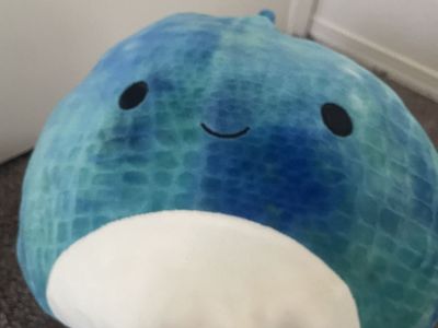 squishmallows