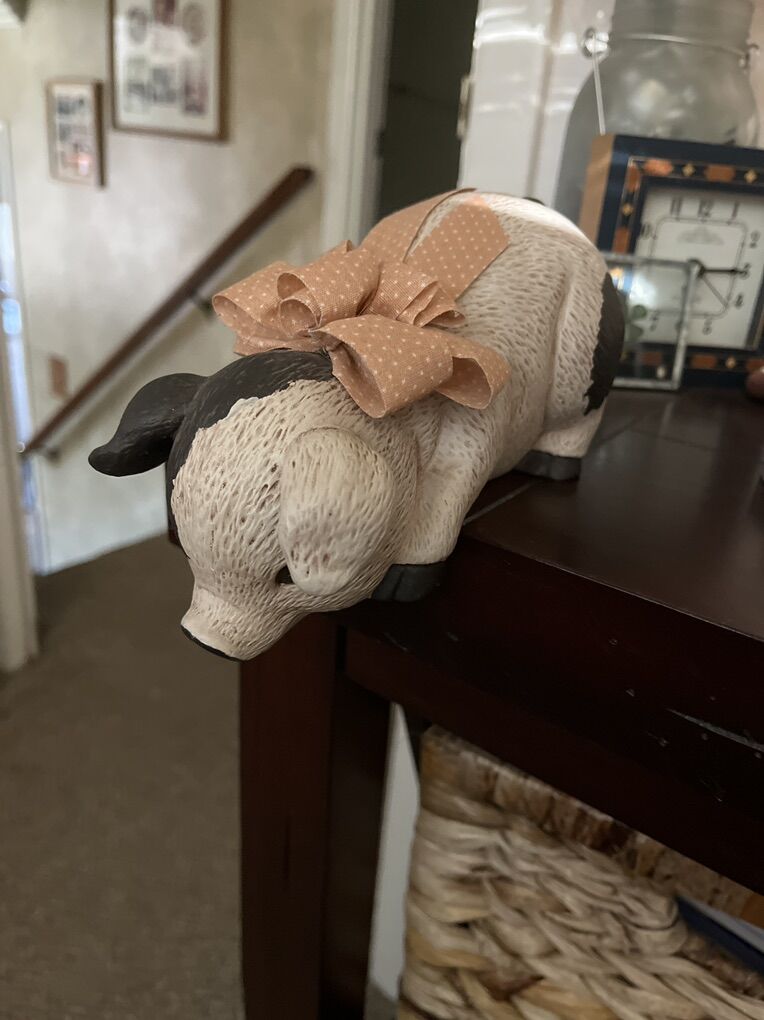 Cute Pig Thats Hangs Over On shelf