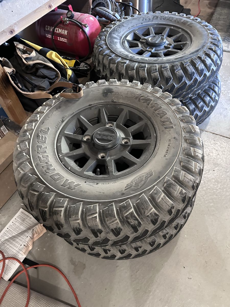 RZR tires 30x10x14