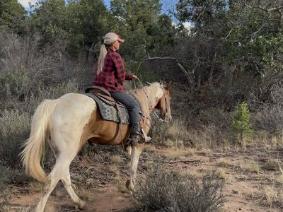 Fun solid broke paint gelding!