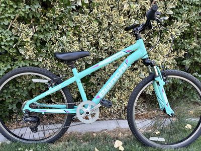 24” 6-Speed Bianchi Duel Youth Mountain Bike ready to ride