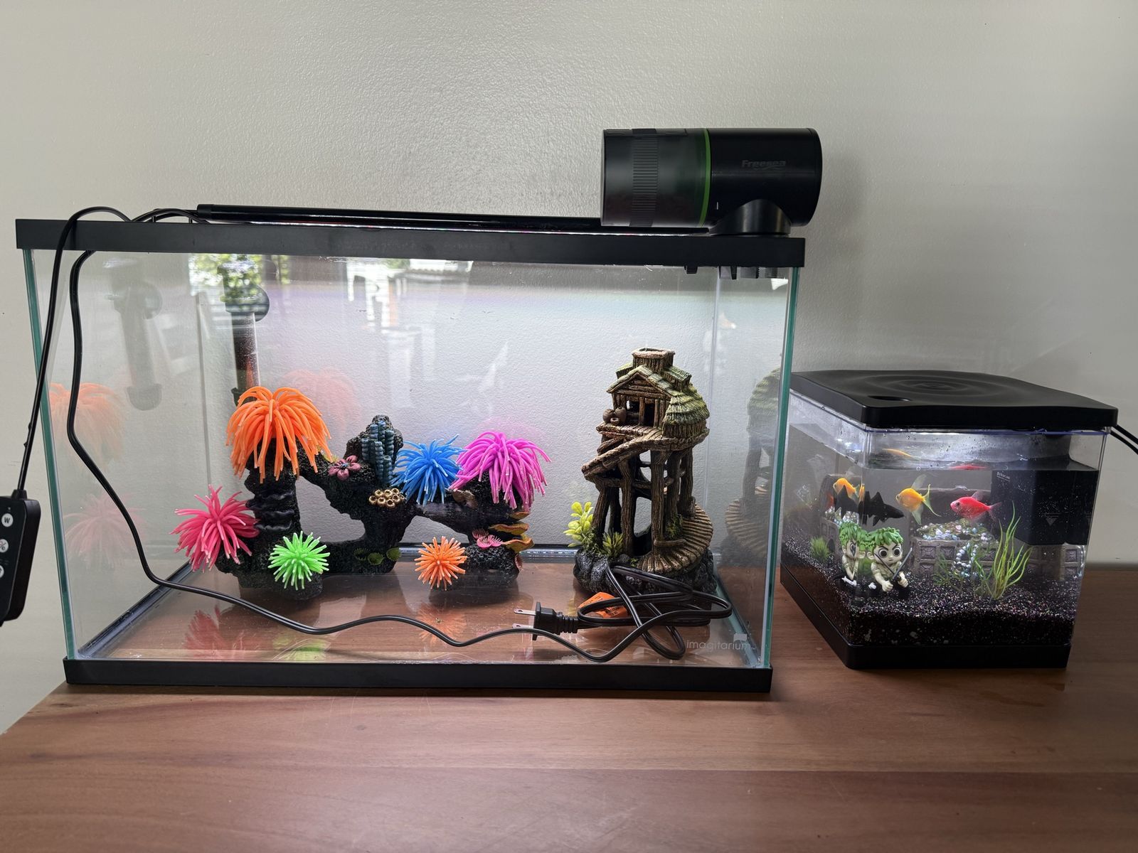 Glass Aquarium Tanks Bundle with Freesea Feeder and Decor