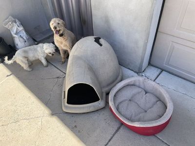 Medium size Indigo Dogloo & pet bed