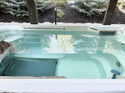 Endless Pools Swim Spa