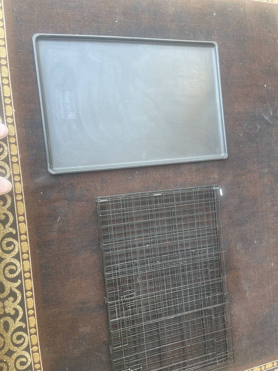Main image 7