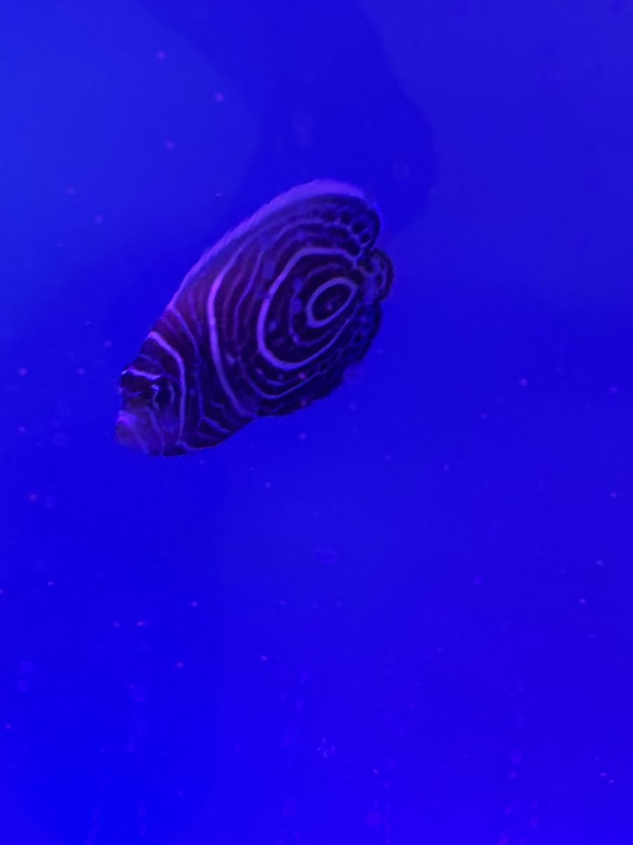 Main image 3