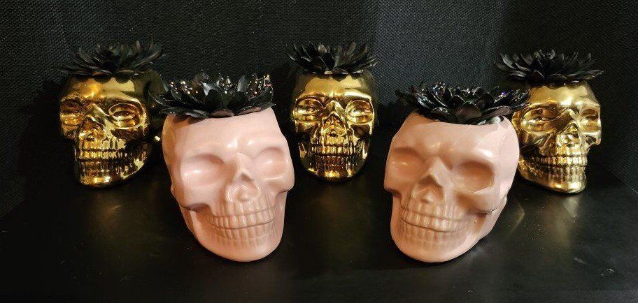 Metal Skull Air Plant Hallween Decor