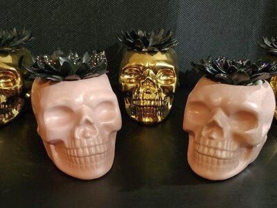 Metal Skull Air Plant Hallween Decor
