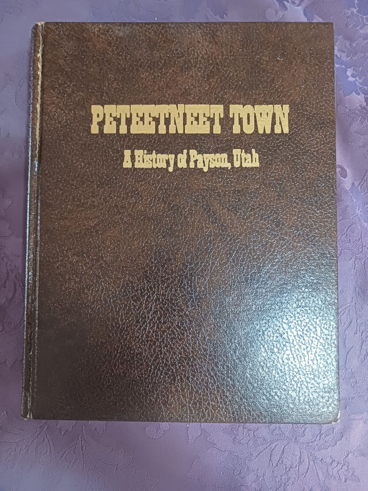 Peteetneet Town - History of Payson Utah