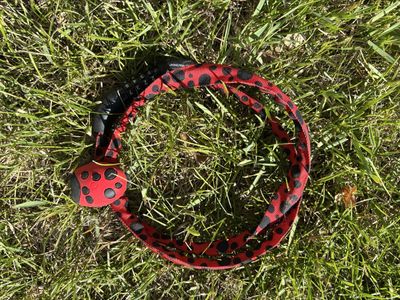Schwinn Ladybug Bike Lock - Red & Black Chain Combination Lock, Secure Kids' Bike Accessory