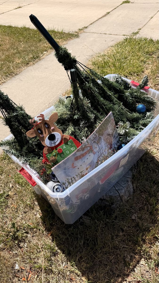 Christmas tree and decor