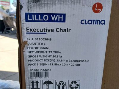 Clatina Lillo WH White Executive Office Chair - New in Box (23.8x25.6x40.4in)