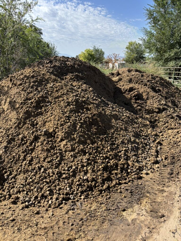 Clean Horse Manure/Fertilizer