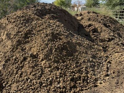 Clean Horse Manure/Fertilizer