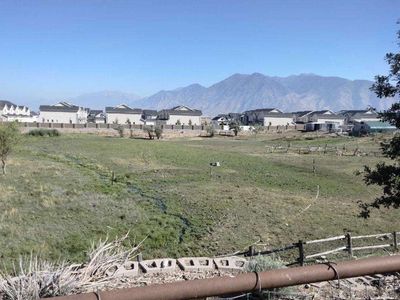 Horse Board and Feed