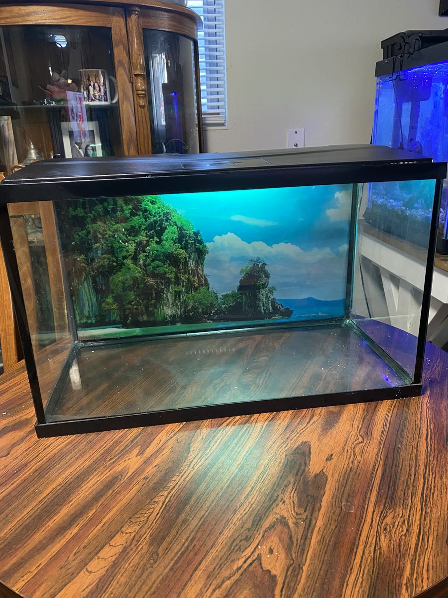 Fish Aquarium