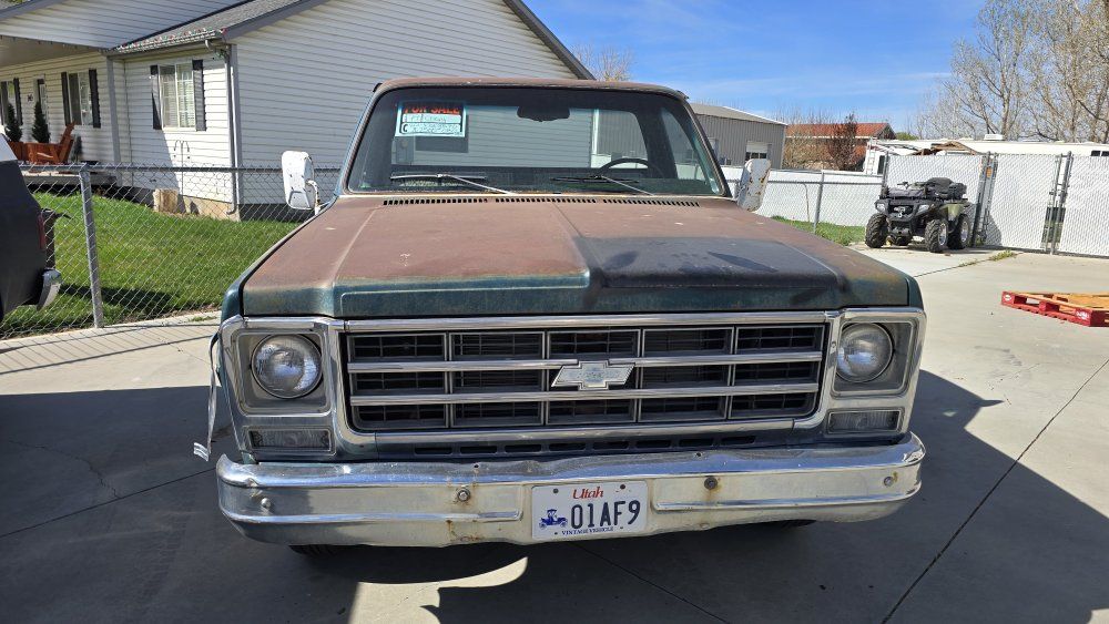 1979 Chevrolet C/K 10 Series 