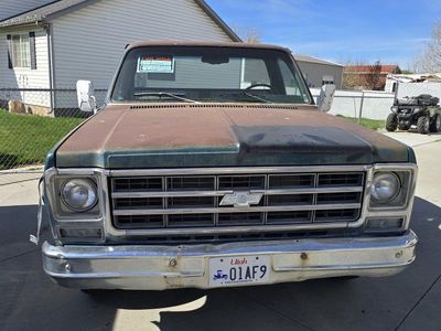 1979 Chevrolet C/K 10 Series