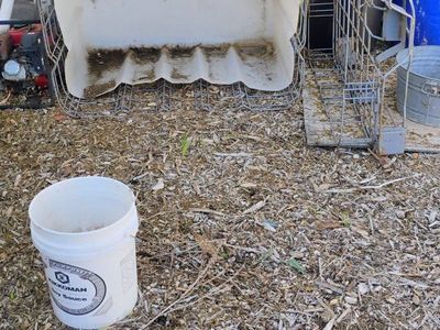 aquaponics tank